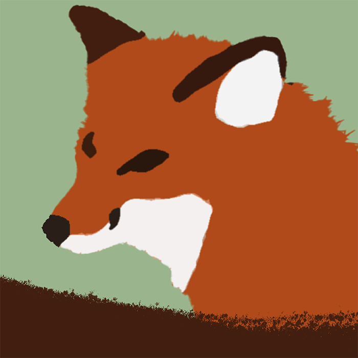Save A Fox - Rebrand