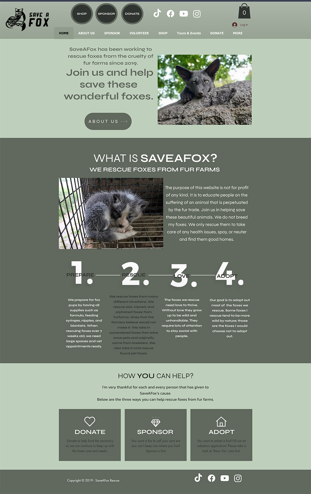 Original Save A Fox homepage